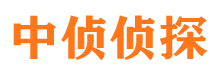 向阳市侦探公司